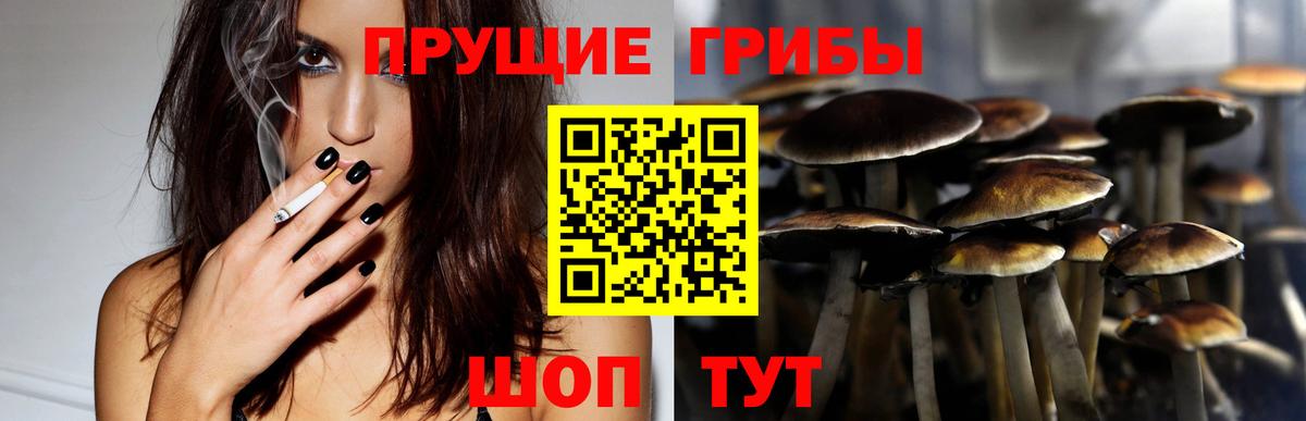 Галлюциногенные грибы Psilocybine cubensis Учалы